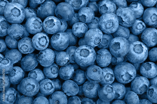 Photo Close up background of blue toned fresh blueberry