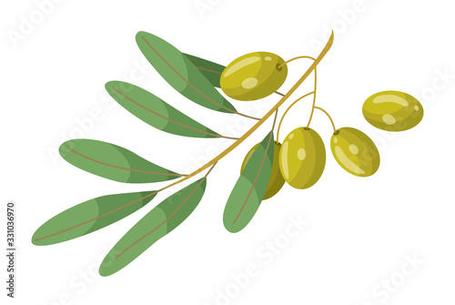 Wallpaper Mural Olive branch with leaves element of treatment hair. Glossy green plant raw vegan product isolated on white. Vegetarian restore symbol for skincare and spa procedure. Vitamin and herbal remedy vector Torontodigital.ca