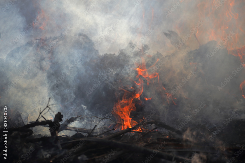 Obraz premium たき火