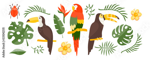 Vector Tropical set of exotic elements in flat style hand drawn. Palm leaves, tropical plants, flowers, leaves, birds, fruits. Warm summer colors and colorful flat graphics. Stickers, travel