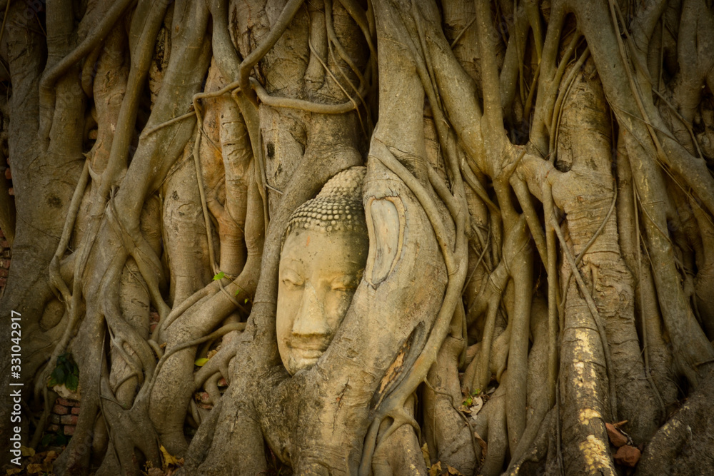 face of buddha on a tree at Ayutthaya, Thailand face of buddha on a tree at Ayutthaya, Thailand