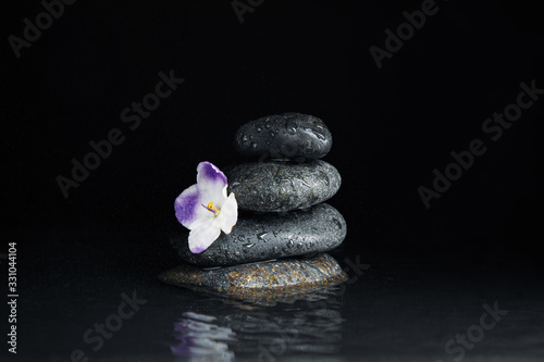 Stones and flower in water on black background. Zen lifestyle