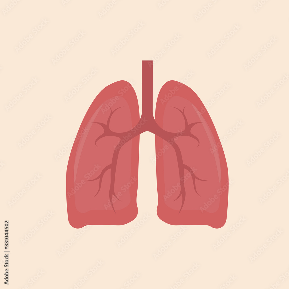 Lungs icon, flat style. Internal organs of the human design element, logo. Anatomy, medicine concept.
