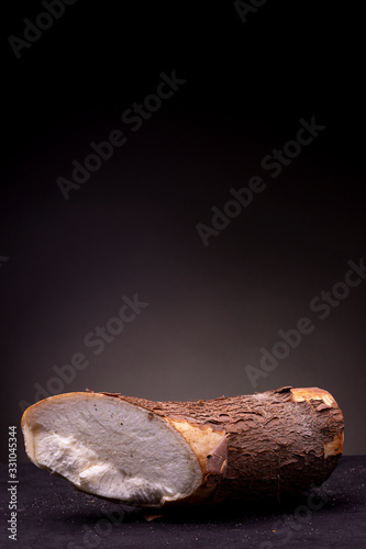 Vertical frame with edible Casava root with brown textured bark brightly lit in studio lighting contrasted against a dark grey background with empty space above photo