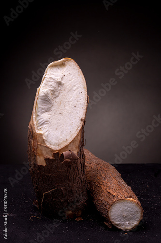 Edible unprepared Cassava root standing upright with another laying beside. Still life studio shot of husk with dark grey background photo