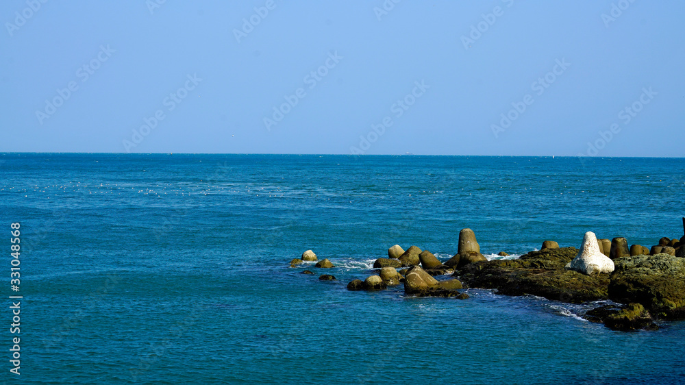 Seagulls resting on the sea