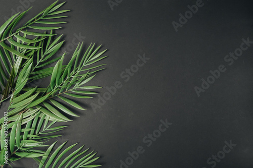 Background of fresh green tropical leaves  macro