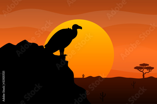 Vulture on rock silhouette on sunset background