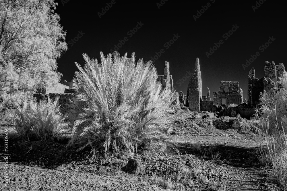 Infrared Image of Adobe Ruins and Palm, Morocco