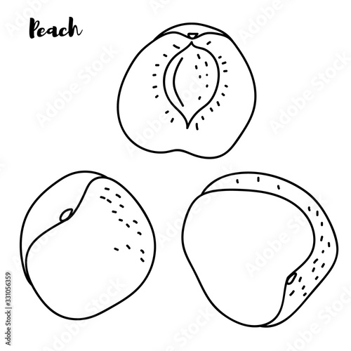 Peach on a Light Background, Line Style, Black and White Vector Illustration