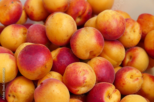 lots of pink-red great looking fresh apricots,