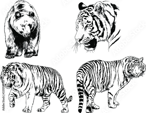 set of vector drawings of various animals  predators and herbivores  hand-drawn sketches  tattoos