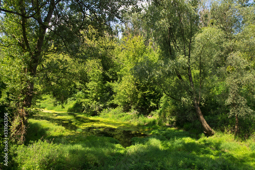 Mala Wiselka river in Torun. Poland