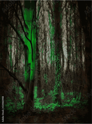 green nostalgia in the dark forest