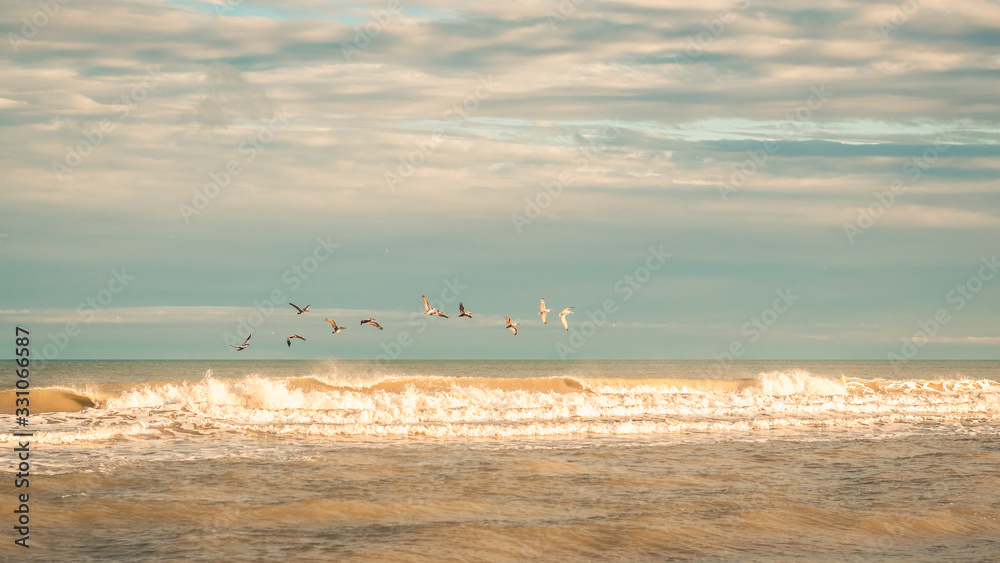 Line of Pelicans Flying Over Ocean Waves in Golden Light