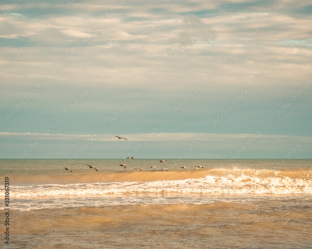 Pelicans Flying Over Ocean Waves in Golden Light Pelicans Flying Over Ocean Waves in Golden Light