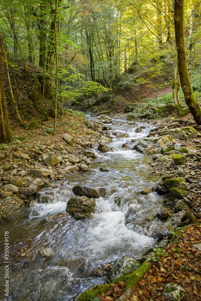 Curak creek near Skrad, Croatia