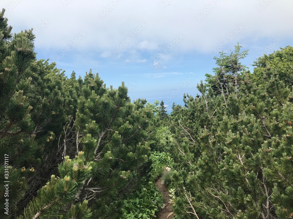 Velebit mountain landscape