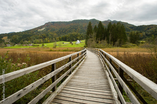 Zelenci - one of Sava river springs