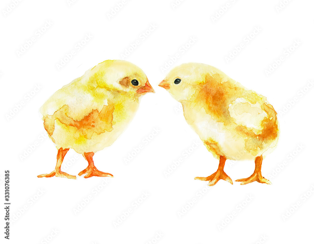  Two chicks meet with beaks. Joyful meeting. Print watercolor.