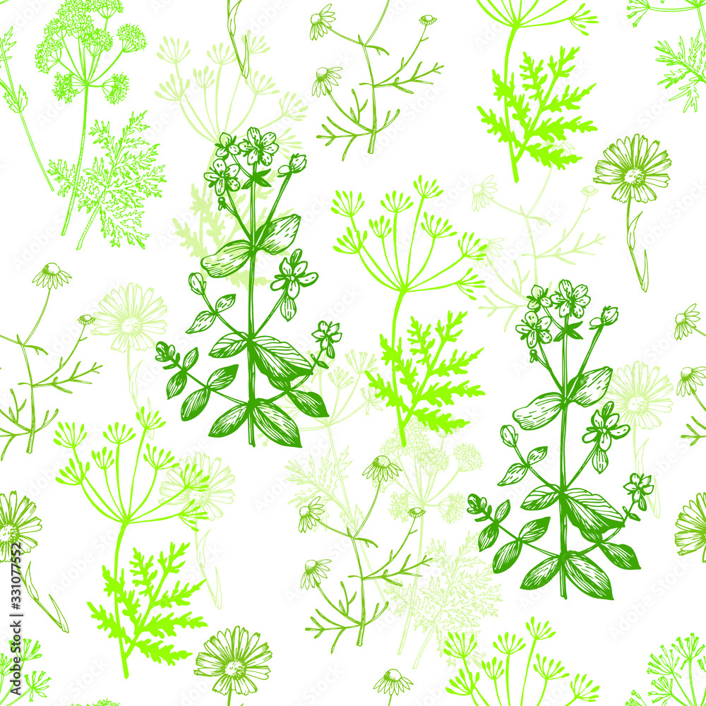 Color pattern with herbs Color pattern with herbs