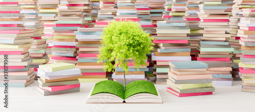 Tree growing from open book in Library, Knowledge concept 3d render 3d illustration