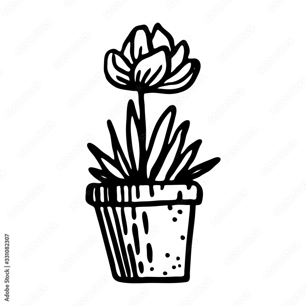 Flower in a pot. Single contour flower isolated on white background. Hand drawn doodle style. Spring black outline element for floral design, invitation, greeting cards, wrapping paper. Flower in a pot. Single contour flower isolated on white background. Hand drawn doodle style. Spring black outline element for floral design, invitation, greeting cards, wrapping paper.