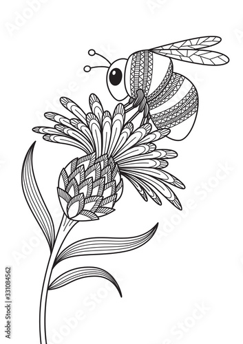 Antistress doodle coloring book page for adult. Bumblebee on the flower. Zentangle insect black and white illustration.