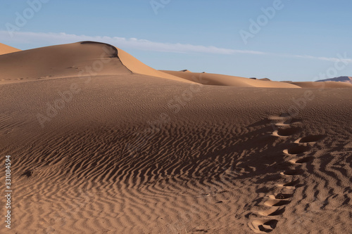 Sahara Sand Dunes and Tracks