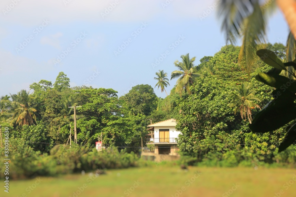 A house in the middle of the jungle in a rice paddy field in Sri Lanka, rest in the middle of the tropics.