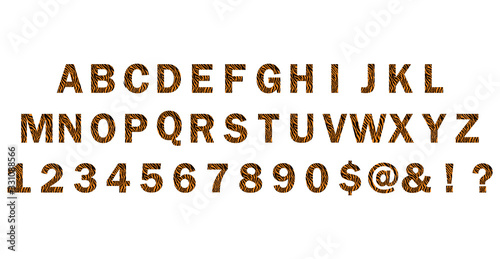 Trendy alphabet set, tiger pattern design, vector illustration