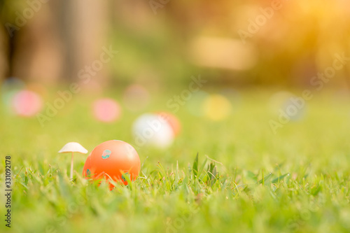 Easter eggs on grass