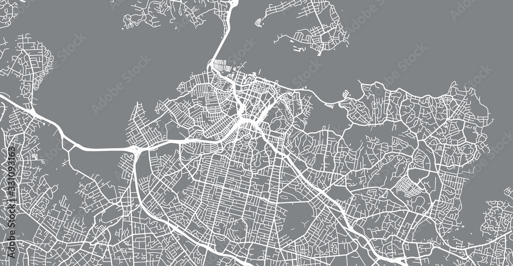 Urban vector city map of Auckland, New Zealand - obrazy, fototapety, plakaty 