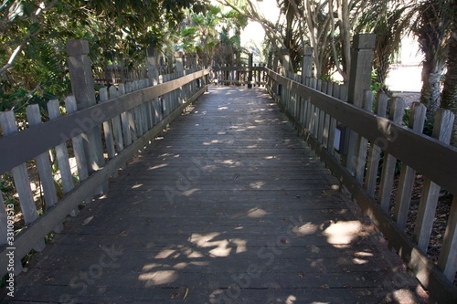 Wood Bridge Walkway Through the Trees