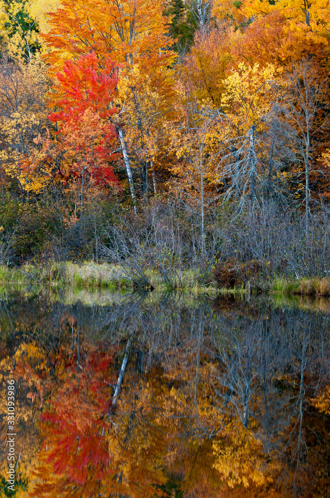Vibrant fall colors at sunrise on the Michigamme River near Crystal Falls in the Upper Peninsula of Michigan.