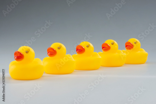 Yellow Rubber Ducks in a Row, Photographed on a Studio Background