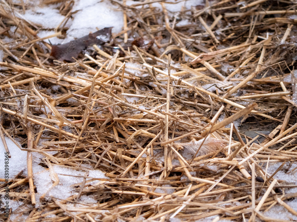 background of straw background of straw