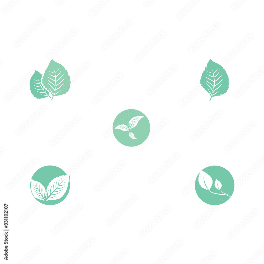 Obraz premium Set Leaf Mint Logo Template vector