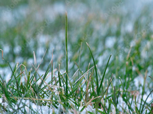 green grass with snow © Kyle Bell
