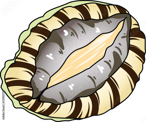 貝のイラストーアワビ