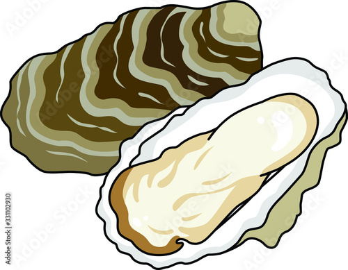 貝のイラストーカキ