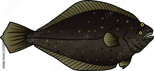 魚のイラストーカレイ