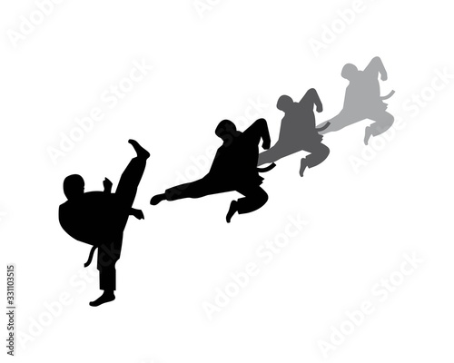 karate,taekwondo kick logo vector illustration template photo