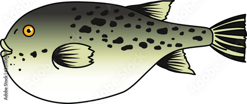 魚のイラストーフグ