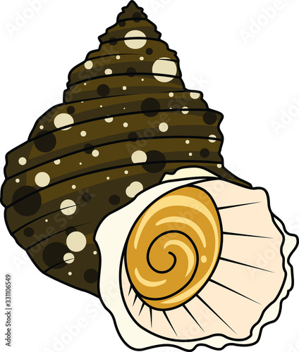 貝のイラストーサザエ