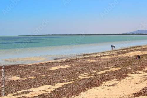 beach and sea in Whyalla, South Australia