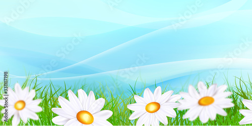 Daisy