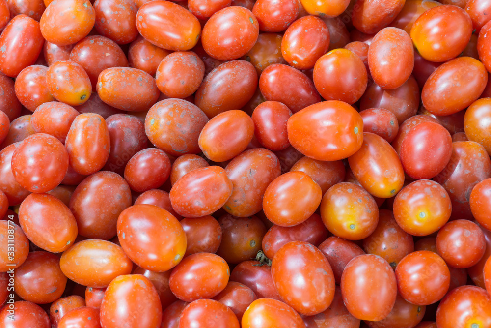 red tomatoes background. Group of tomatoes red tomatoes background. Group of tomatoes