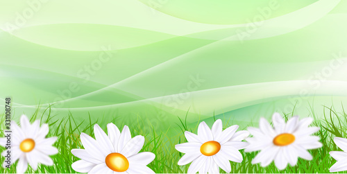 Daisy