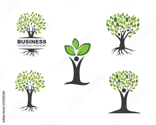 family tree logo template vector
